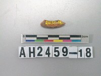 藏品(紅色陶環殘件)的圖片